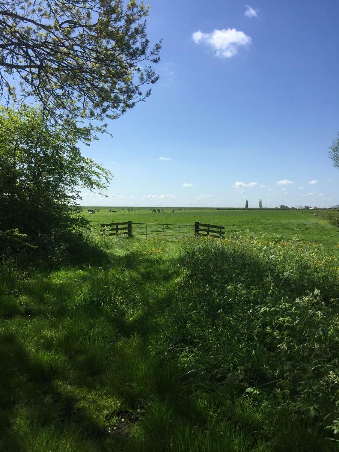 WijdenesLekerweg 32アパートメント エクステリア 写真
