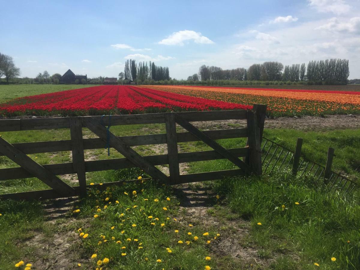 WijdenesLekerweg 32アパートメント エクステリア 写真